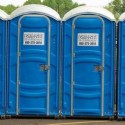NEWS: Puppy left for dead in Lincoln woods porta-potty